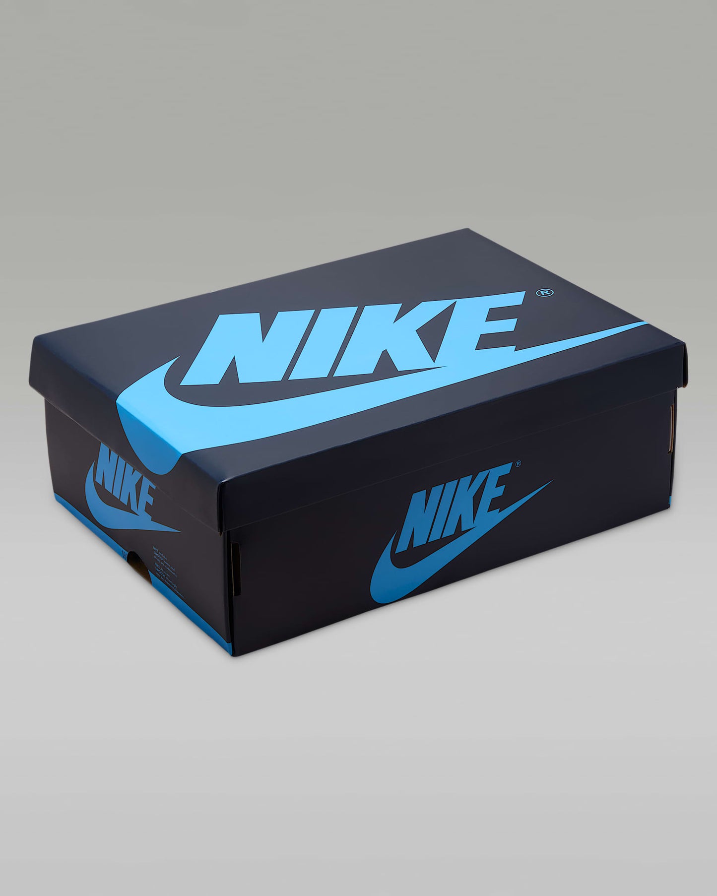 Air Jordan 1 Low OG 'Obsidian'