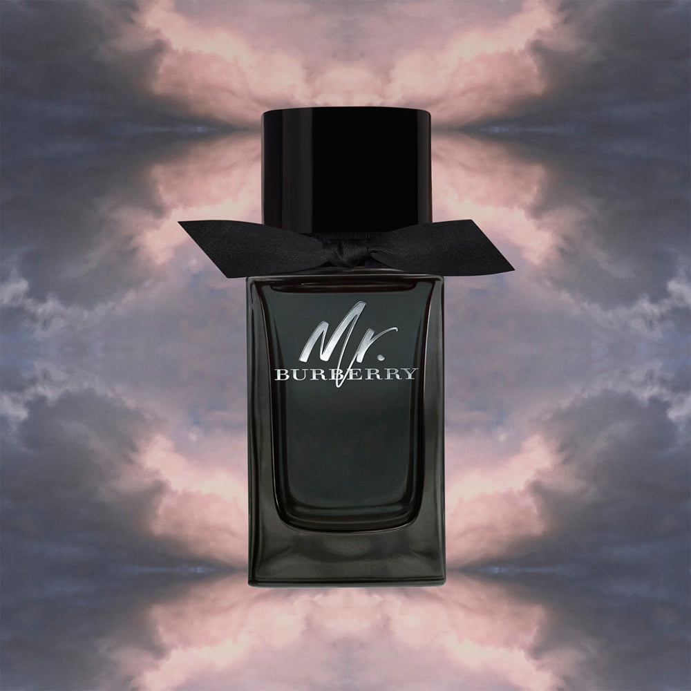 Burberry Mr. Burberry Eau De Parfum Spray 100ml