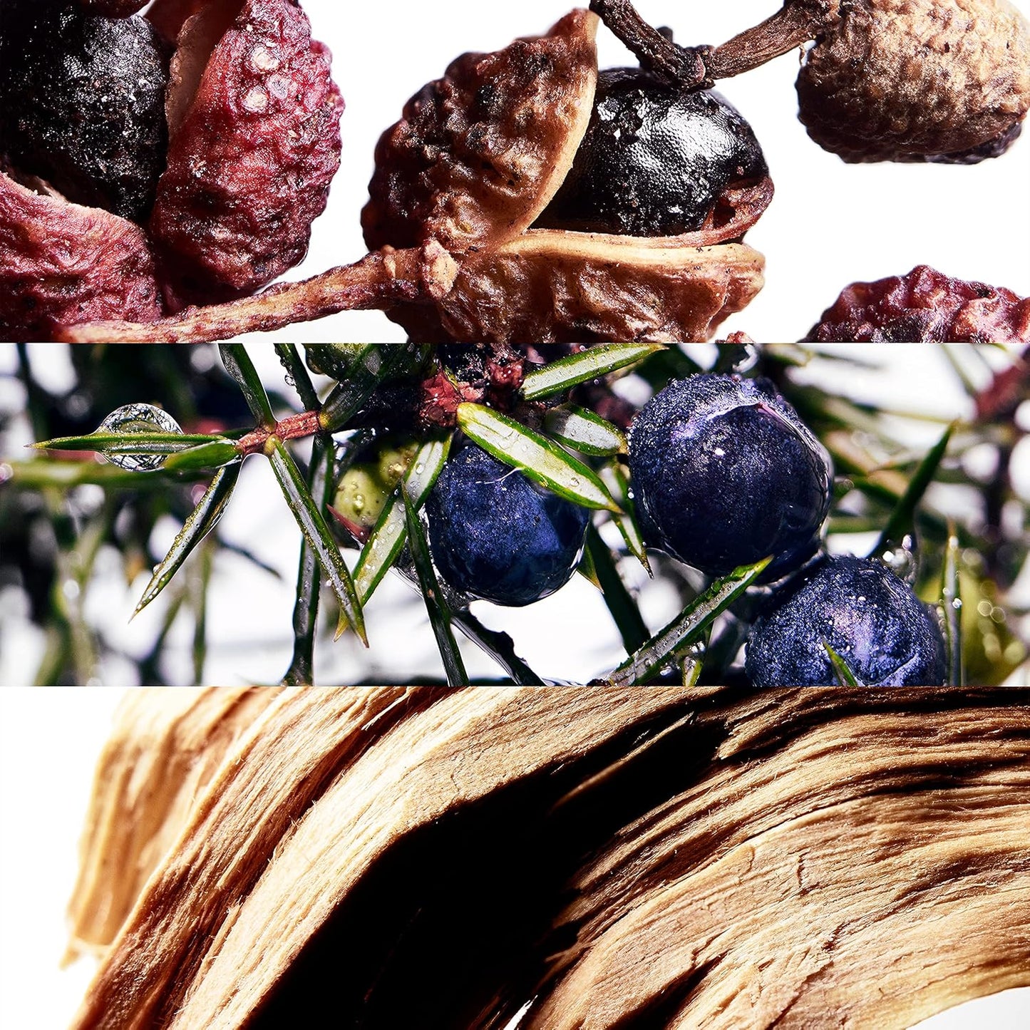 DAVIDOFF Cool Water Wave Man Eau de Toilette 125ml