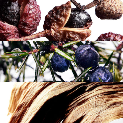 DAVIDOFF Cool Water Wave Man Eau de Toilette 125ml