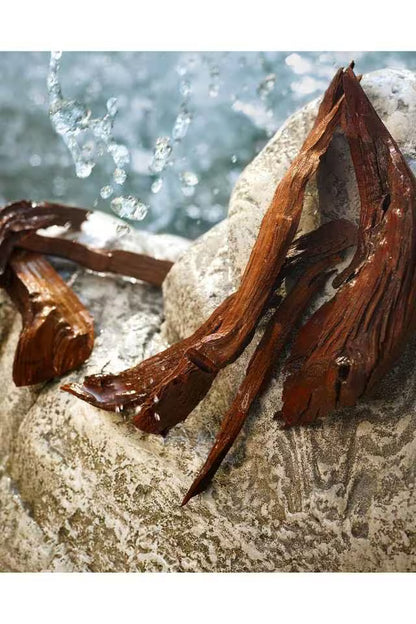 Dolce&Gabbana Light Blue EDT - 100 ml