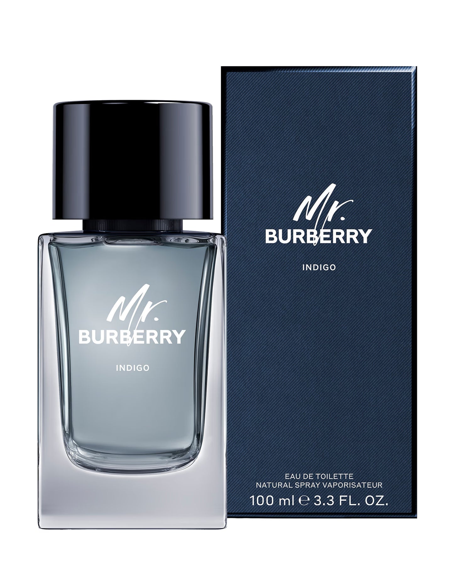 Burberry Mr. Burberry Indigo Eau De Toilette • 100ml